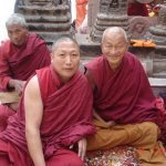India - 2011